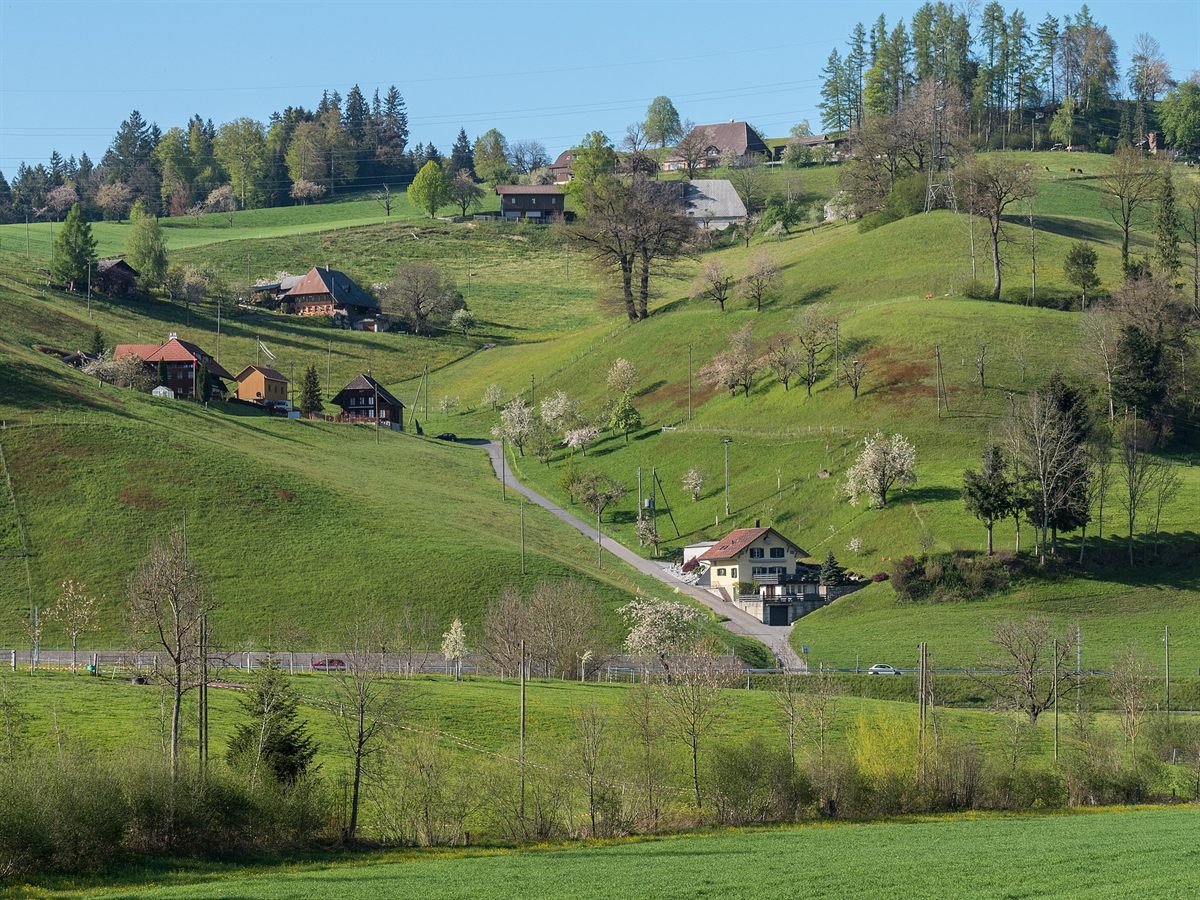 Emmental Alpine Descent